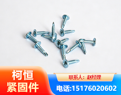 武威华司钻尾丝
